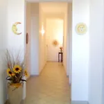 Arbacani Holydays * 加利波利